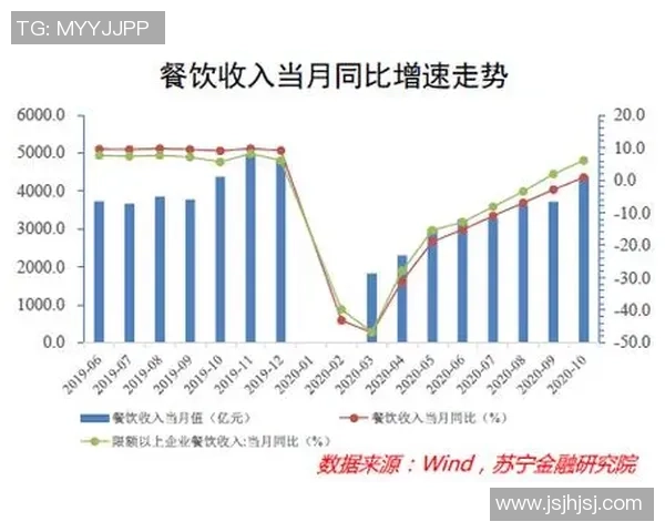 武汉羽毛球队与深圳羽毛球队赛后复盘分析比赛节奏与战术对比